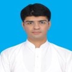 Muhammad Umar Qutab, interface engineer