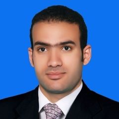 hassan mohammed abd el salam hegazy