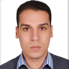 Hassan Ahmed Hassan Ellabban, senior site engineer