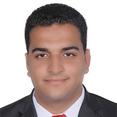 Abdelrahman Mahareek, Anti-Money Laundering Consultant