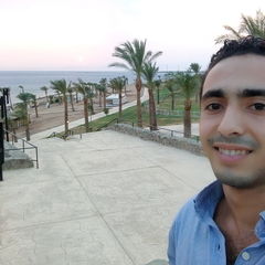 Mohamed Anas