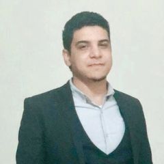 Mahmoud  Hanafi, Financial Analyst