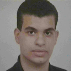 البردينى احمد على elbardiny