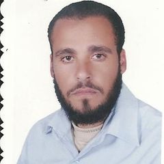 محمد سلامه, Technical Director