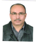Taleb Safieddine, Project Manager