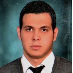 mohamed gamal, ASSISTANT CHIEF ACCOUNTANT