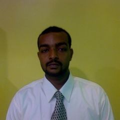 احمدمحمد امام, Customers Services Team Leader