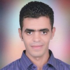Esmael abdel moneam esmael hemeada Hendawy, مدرس حاسب الى 