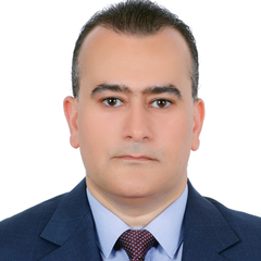 Tamer Rashwan, Financial Audit