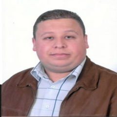 mahmoud Abo Eleenein, IT Manager