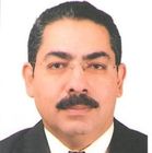 أيمن إبراهيم, public health consultant