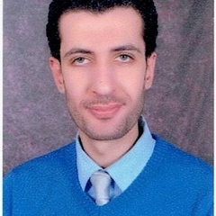 Ali Atef, نائب مدير خدمة عملاء 