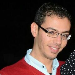 محمد السيسي, Assistant Cost Controller