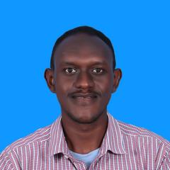Abdulla  Bashir, senior python developer