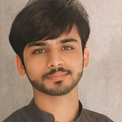 Syed ali  haider