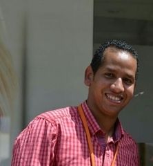 Mostafa Hassan Abdelhafez, Section Head