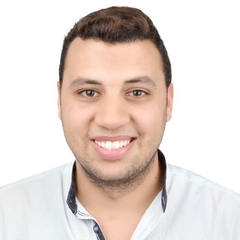 Ahmed Ezz, telesales executive