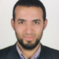 محمود عز الدين سيد الصبابطي, Solution and product analyst