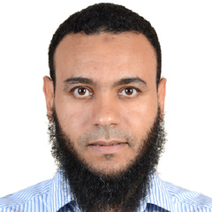 Osama Mahmoud, IT Solutions Architect