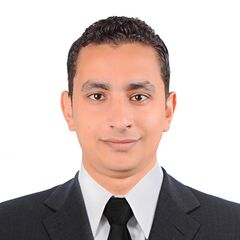 Hazem Alwakil, Automotive Engineer