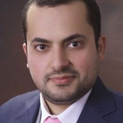 Yahya Abdel-Hadi, Lead Business Analyst