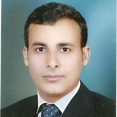 ايمن  عبد العظيم محمد محمد شتية, مهندس MEP