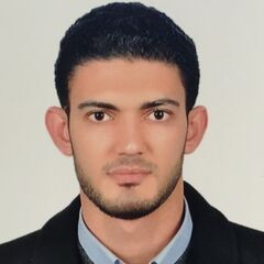 محمد طلعت, IT System Administrator