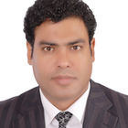 Wael Fawzy, Financial Manager