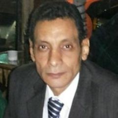 Nasr Elakkad, رئيس حسابات