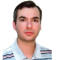 Hadi Khanmirza, Freelancer