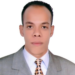 عبدالهادي عبدالباسط حسن عبدالهادي, Financial Manager