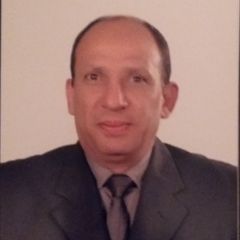 sherif Abdel Halim, operations manager