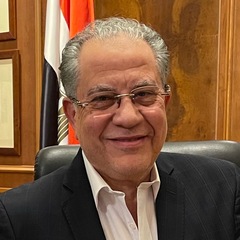 Hazem EL-Mahdi, Commercial and Business Consultant  