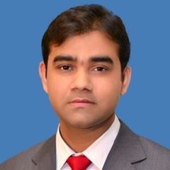 Farrukh Mumtaz Bhatti, Sales Executive