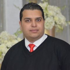 Bassem Alaa, Accountant payabl