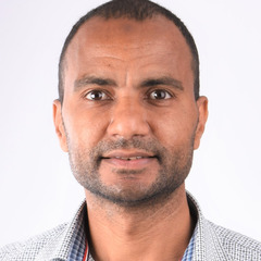 Hesham Ebaid, PMO Manager