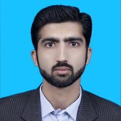 Salman Zulfiqar