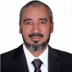 Ahmed Elgohary, Accountant