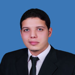 محمد ابراهيم محمد الشرقاوي, egypt