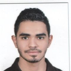 Sherif Mahmoud, Accountant