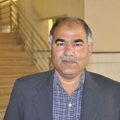 محمد Tanzeem, assistant professor