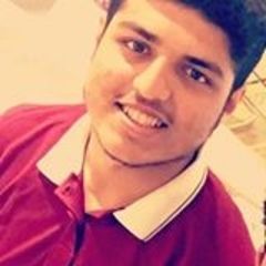 Hussain Shah, Junior Accountant
