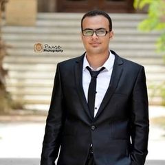 Mahmoud Bahaa ElDin Ibrahim Elsayed Amer, Site Civil Engineer