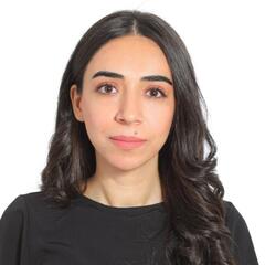 Maisam Zidan, Senior GIS Specialist