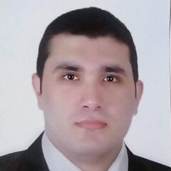 Mahmoud Sameer, Document Controller