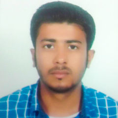 Ali Hamza