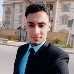 Mohamed Khamis, Agent