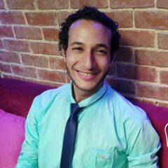 Ahmed Shawky Ahmed Mohamed Khalifa shawky