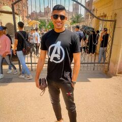 Mostafa Ebrahim, Freelance Translator