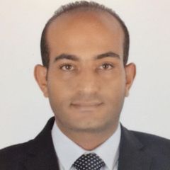 Fadi  Mohamed Fahmi, Fleet Manager